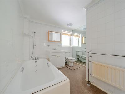 Picture 15